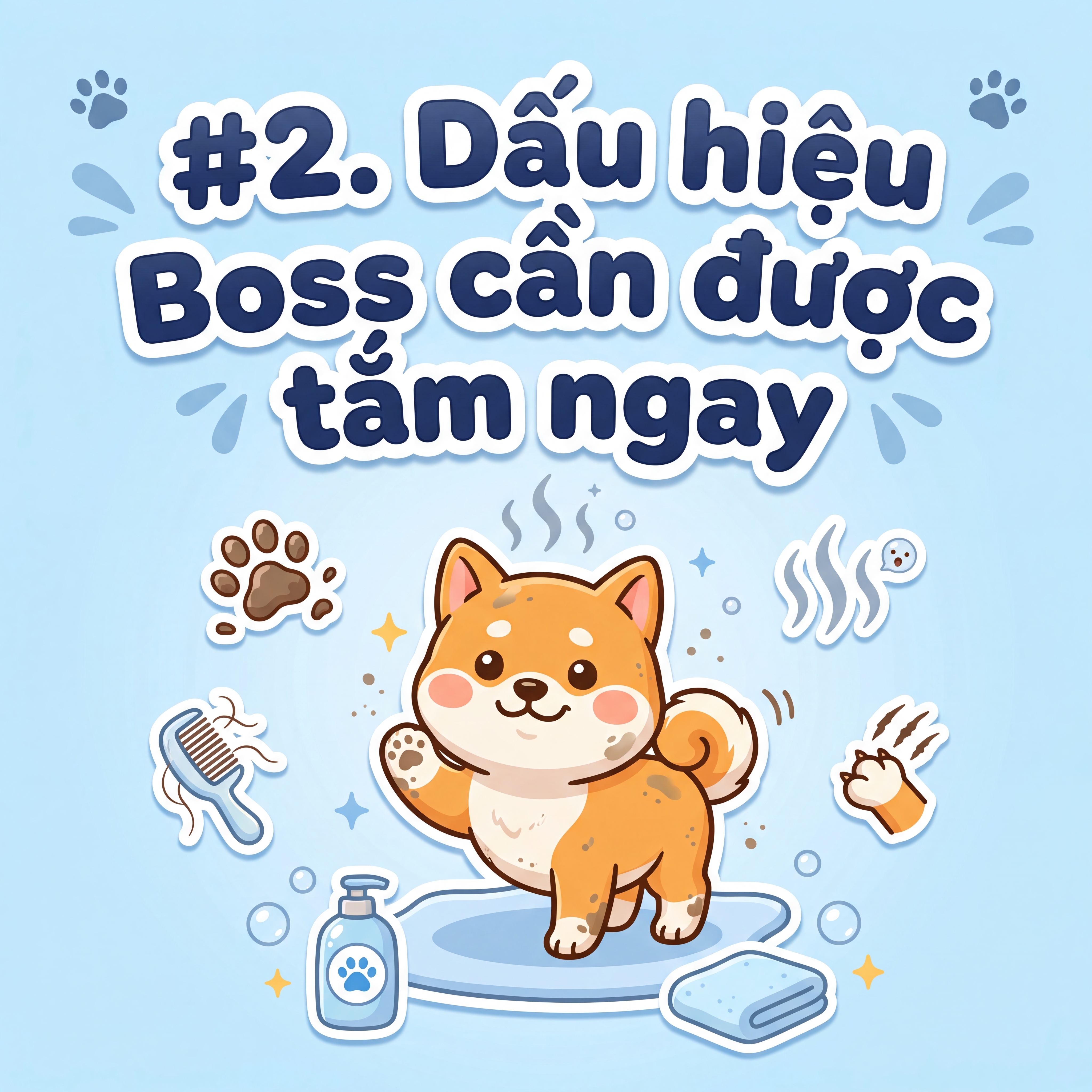 Dấu hiệu Boss cần được tắm ngay