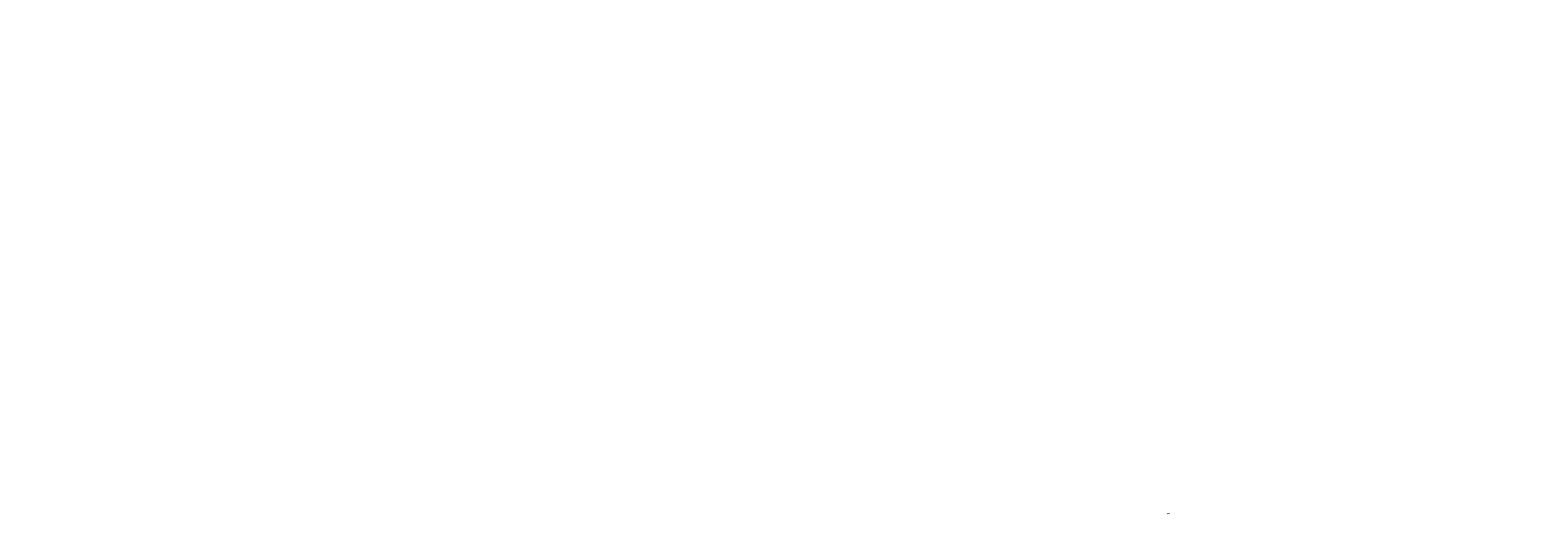 YOKO Pet World